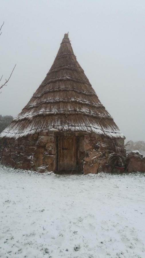 Agriturismo Sa E Padedda Mores Екстериор снимка