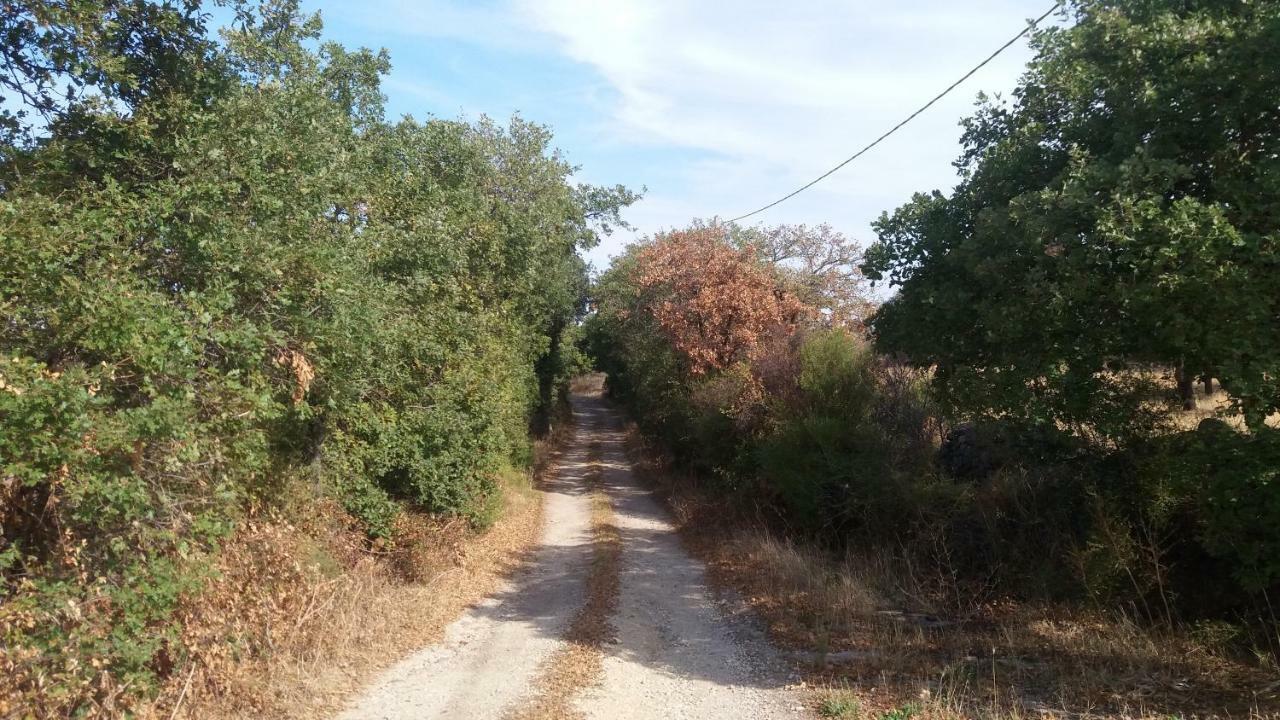 Agriturismo Sa E Padedda Mores Екстериор снимка