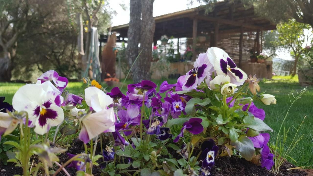Agriturismo Sa E Padedda Mores Екстериор снимка