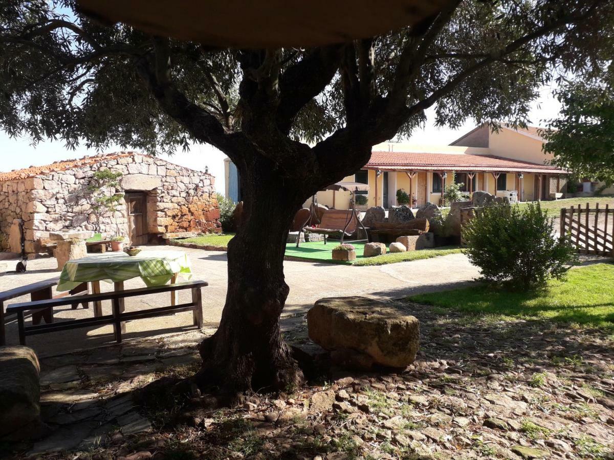 Agriturismo Sa E Padedda Mores Екстериор снимка
